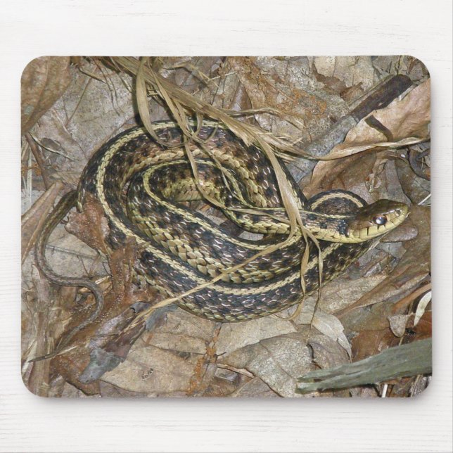 Koordinationsgegenstände der Young Eastern Garter  Mousepad (Vorne)