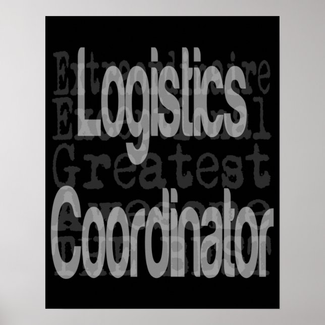 Koordinator für Logistik Poster (Vorne)