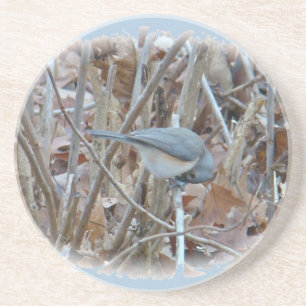 Koordinierelemente von Tufted Titmouse Songbird Getränkeuntersetzer