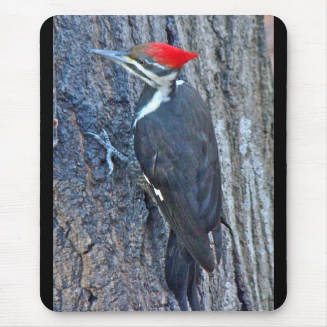 Koordinierte Speckelemente Mousepad (Vorne)