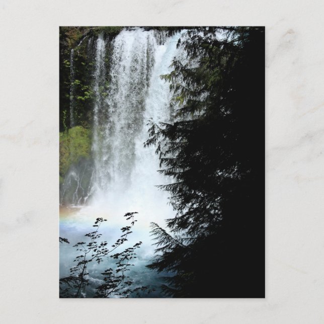 Koosah Falls Oregon Wasserfall Postkarte (Vorderseite)