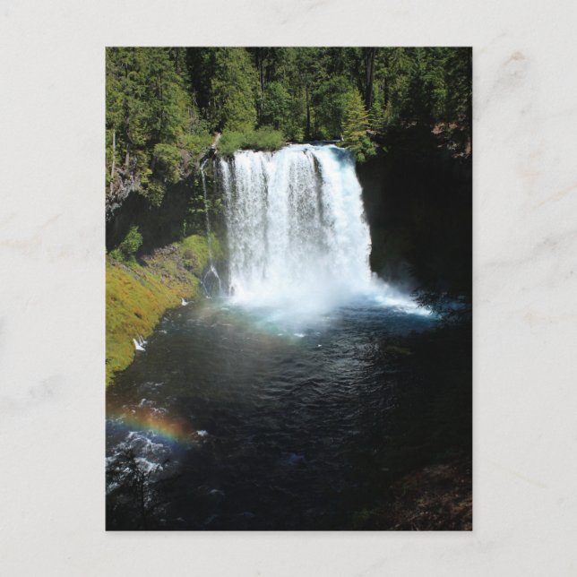 Koosah Falls Oregon Wasserfall Postkarte (Vorderseite)