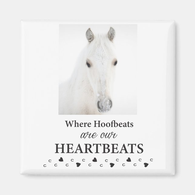 Kootenai-Magnet Magnet (Vorne)