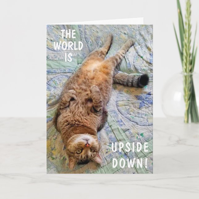 Kopf-an-Kopf-Katze Miss Sie Karte (Vorderseite)