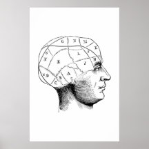 Kopf-Anatomie-Illustrationspopster