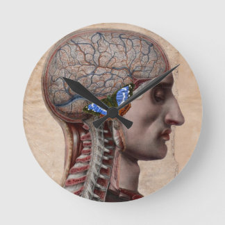 Kopf Anatomie Uhr