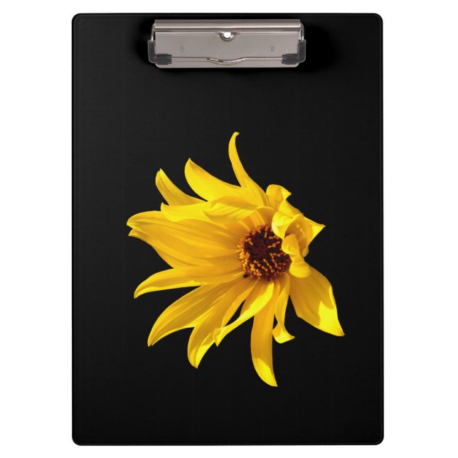 Kopf der gelben daisy Helenium Clipboard Klemmbrett (Vorderseite)