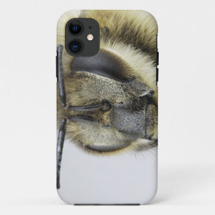 Kopf der Honigbiene iPhone 11 Hülle