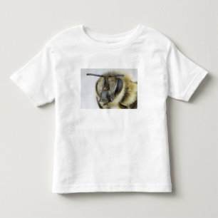 Kopf der Honigbiene Kleinkind T-shirt
