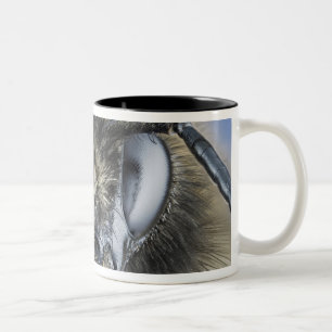 Kopf der Hummel Zweifarbige Tasse
