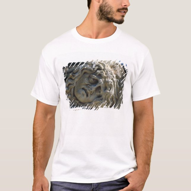 Kopf der Medusa T-Shirt (Vorderseite)