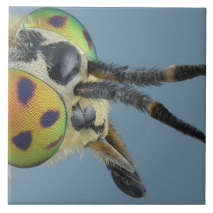 Kopf der Rotwild fliegen Fliese