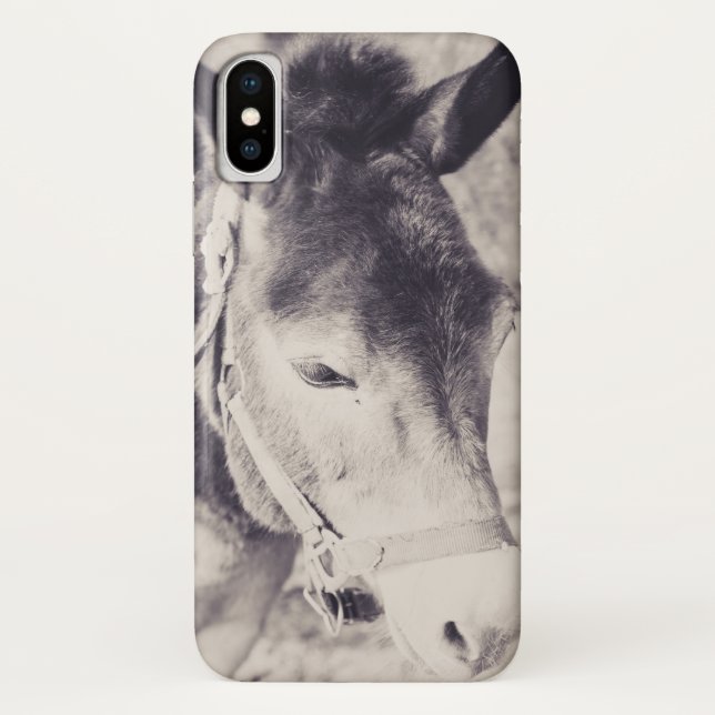 Kopf des Donkey 2001 Case-Mate iPhone Hülle (Rückseite)