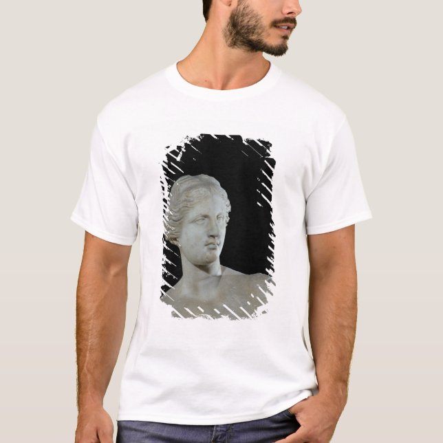 Kopf des Venus von Milos, c.100 BC T-Shirt (Vorderseite)