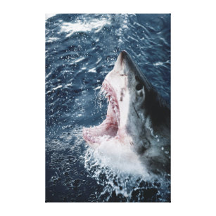 Kopf des Weißen Hais Leinwanddruck