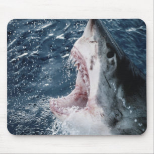 Kopf des Weißen Hais Mousepad