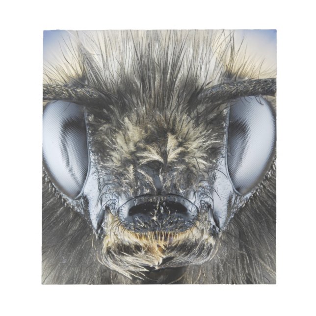 Kopf einer Hummel Notizblock (Vorderseite)