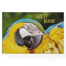 Kopf eines blauen und gelben Macas