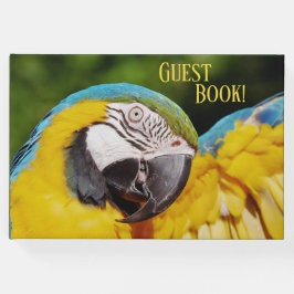 Kopf eines blauen und gelben Macas Gästebuch