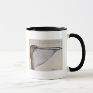 Kopf eines Brown-Pelikans Tasse
