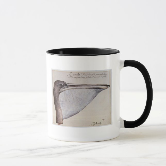 Kopf eines Brown-Pelikans Tasse (Rechts)