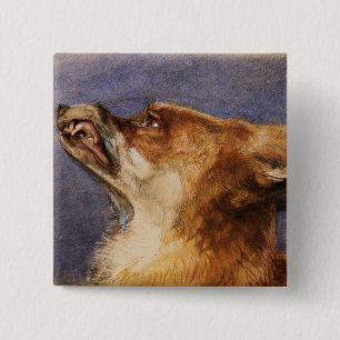 Kopf eines Fox Button