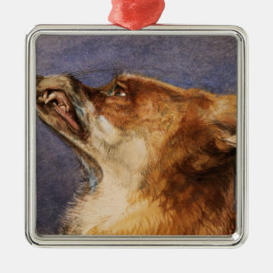 Kopf eines Fox Ornament Aus Metall