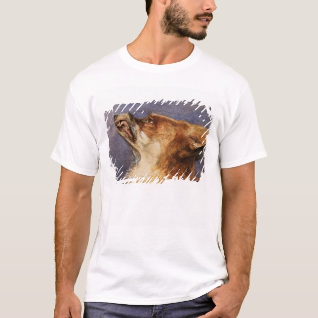 Kopf eines Fox T-Shirt (Vorderseite)