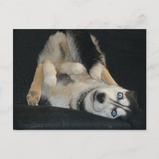 Kopf-über-Hefe-Postkarten Postkarte