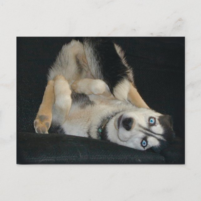 Kopf-über-Hefe-Postkarten Postkarte (Vorderseite)