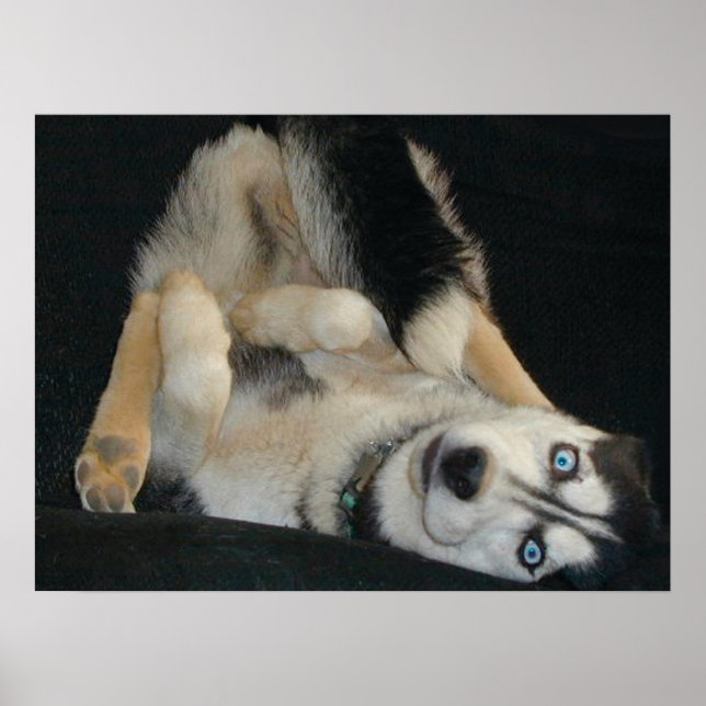 Kopf-über-Kopf-Poster Poster (Vorne)