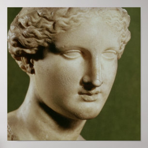 Kopf von Artemis Poster