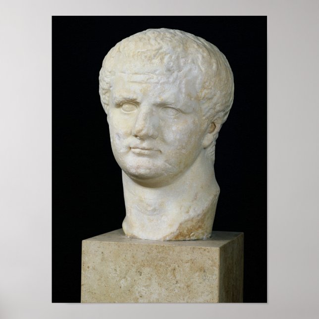Kopf von Titus Poster (Vorne)