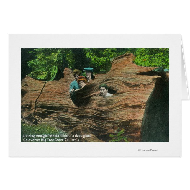 Köpfe, die in den Knochenhühlen des Riesenredwoods (Vorderseite (Horizontal))