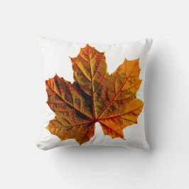 Kopfkissen für jedes Zimmer Kissen