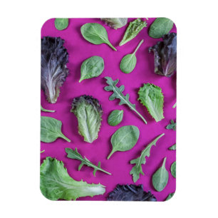 Kopfsalat-Grüntöne auf Lila Magnet