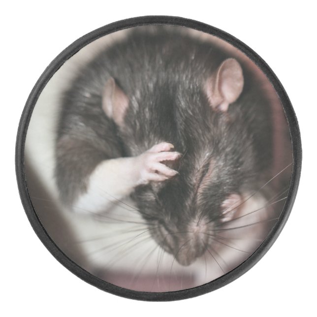 Kopfschmerzen Eishockey Puck (Vorderseite)