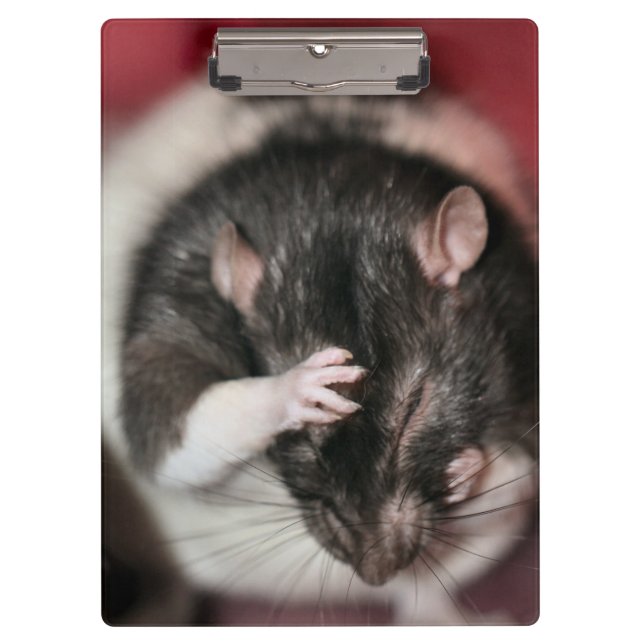 Kopfschmerzen Klemmbrett (Vorderseite)