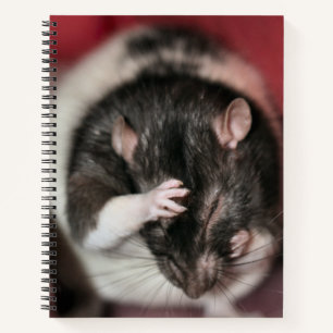 Kopfschmerzen Notizbuch