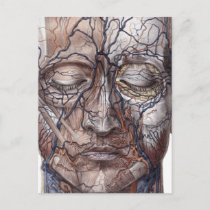 Kopfschmerzen und Muskeln Postkarte