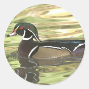 Kopie DSC_0454 Runder Aufkleber