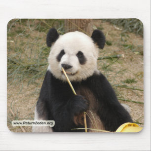Kopie panda106 mousepad