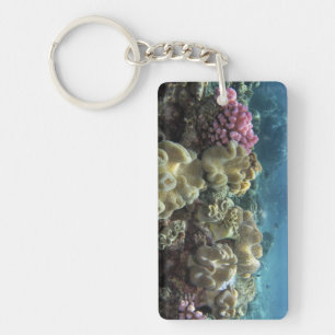 Koralle, Agincourt Reef, Great Barrier Reef, Schlüsselanhänger