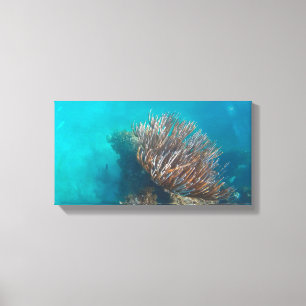 KORALLE AUF LEINWAND 50 cm x 40 cm