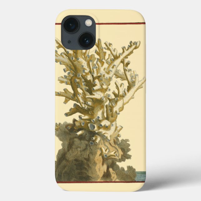 Koralle durch das Meer Case-Mate iPhone Hülle (Rückseite)