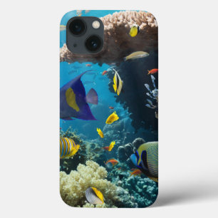Koralle und Fische im Roten Meer, Ägypten Case-Mate iPhone Hülle