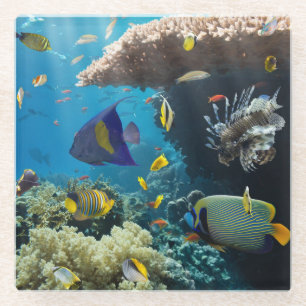 Koralle und Fische im Roten Meer, Ägypten Glasuntersetzer