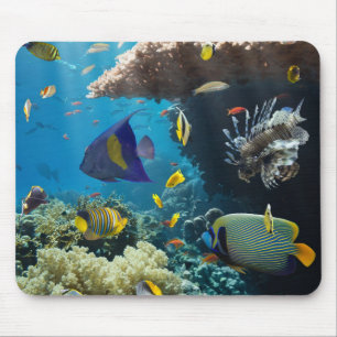 Koralle und Fische im Roten Meer, Ägypten Mousepad