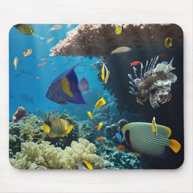 Koralle und Fische im Roten Meer, Ägypten Mousepad (Vorne)