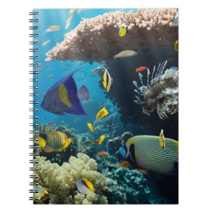 Koralle und Fische im Roten Meer, Ägypten Notizblock